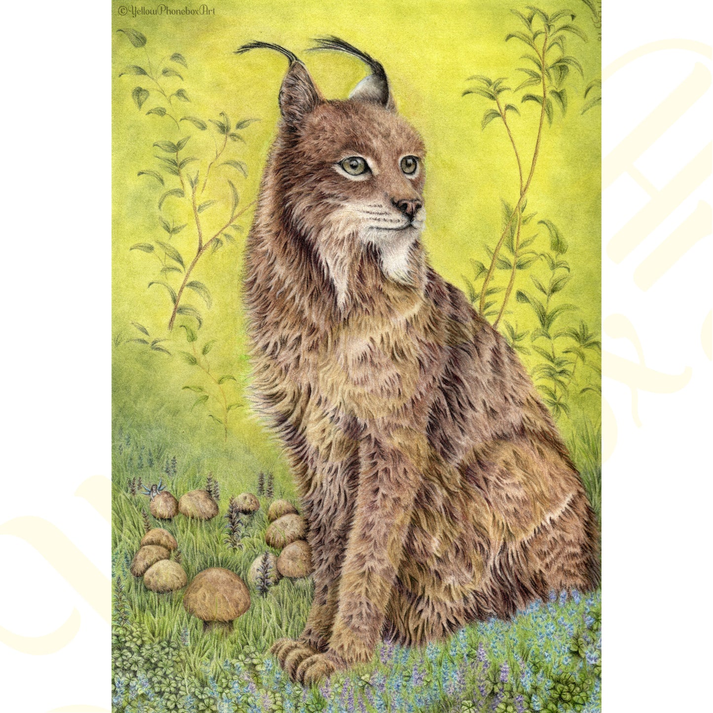 ‘Fairy Ring’ - Print From Original Artwork - Wall Décor