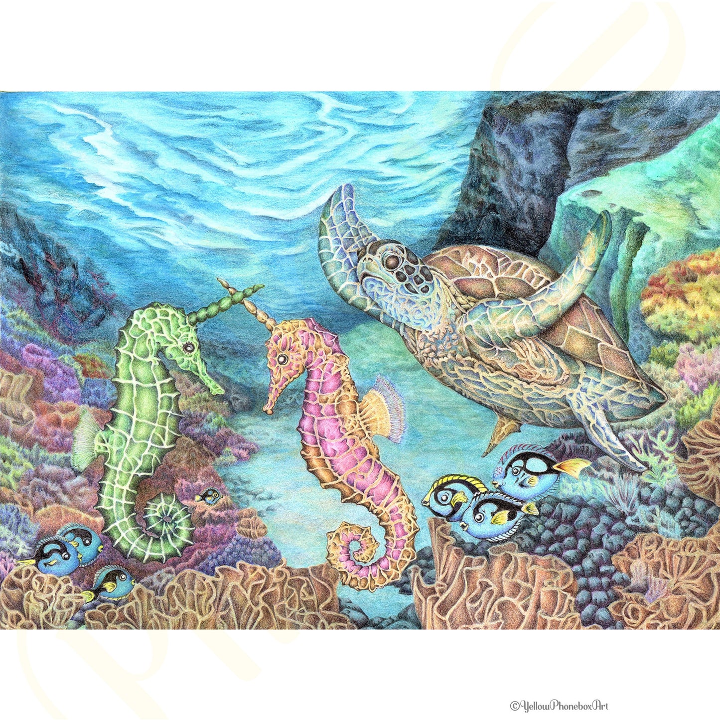 ‘Jousting Seahorses’ - Print From Original Artwork