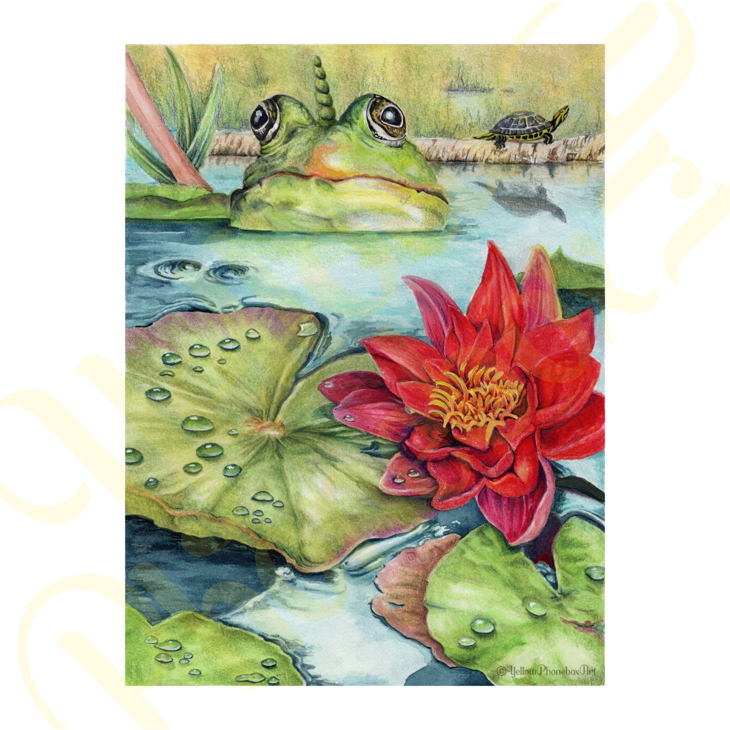 ‘The Puddock’ - Print From Original Artwork