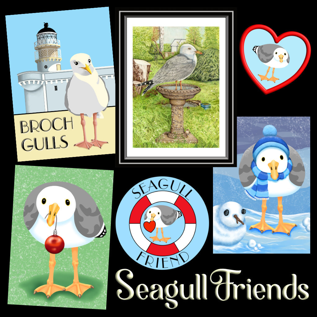 Seagull Friends