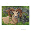 A Comfy Perch - Art Print From Original Acrylic Painting