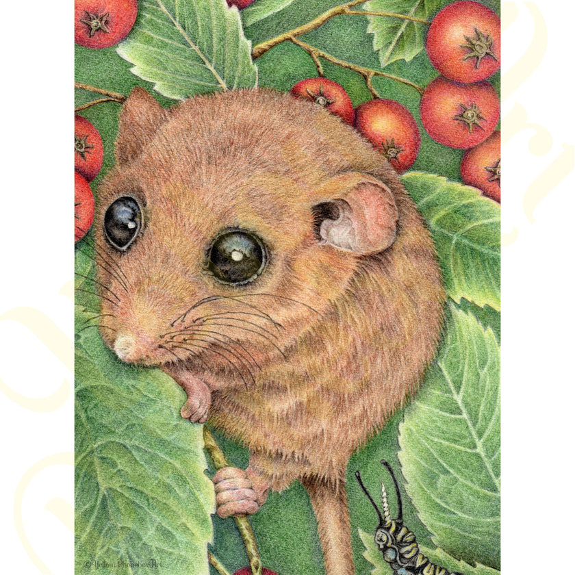 ‘A Tasty Leaf’ – Art Print From Original Artwork