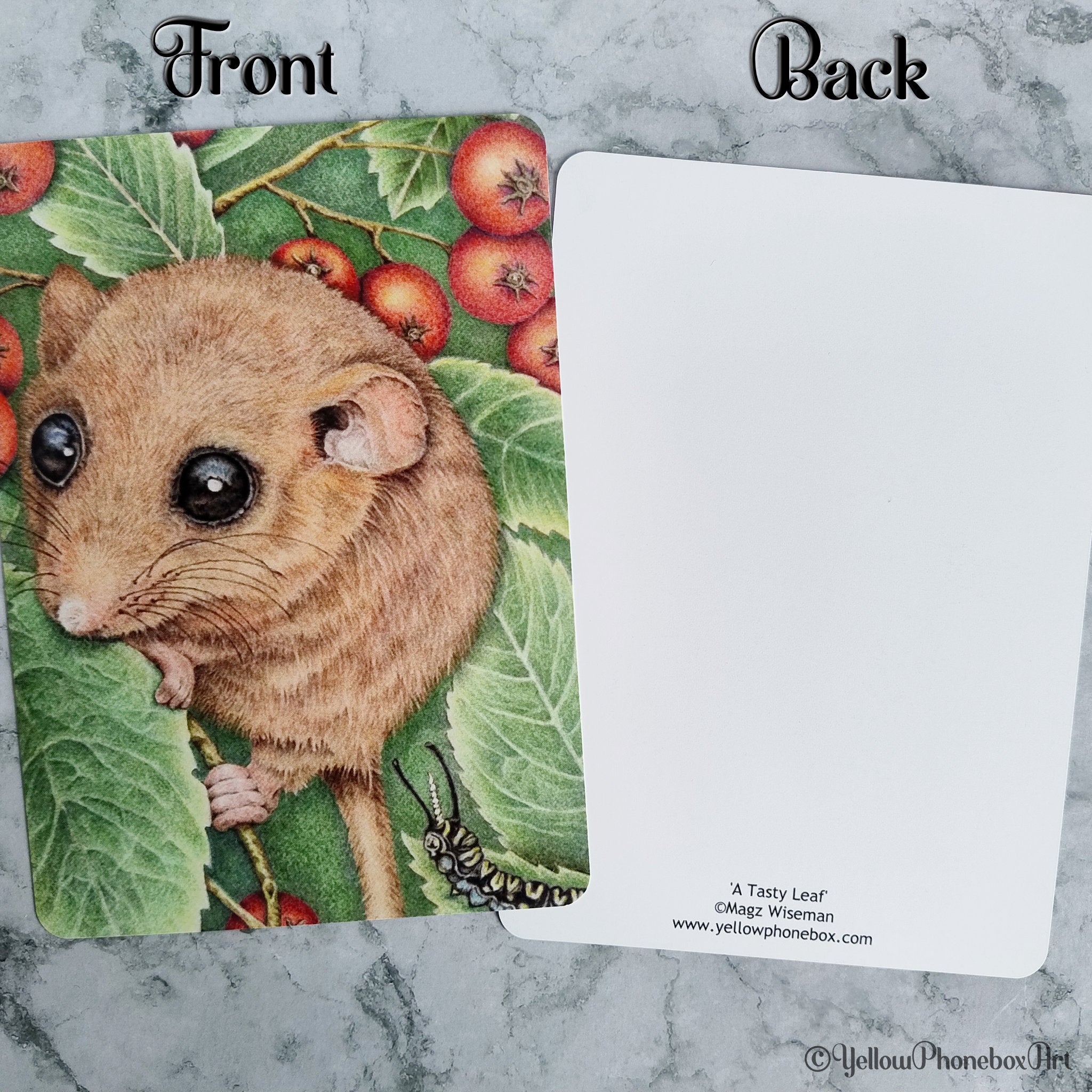 ‘A Tasty Leaf’ - Matte Finish Postcard With Rounded Corners
