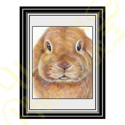 'Bunny' - Art Print from Original Artwork