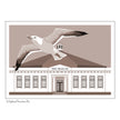 ‘Ballroom Gull’ - Art Print From Original Artwork