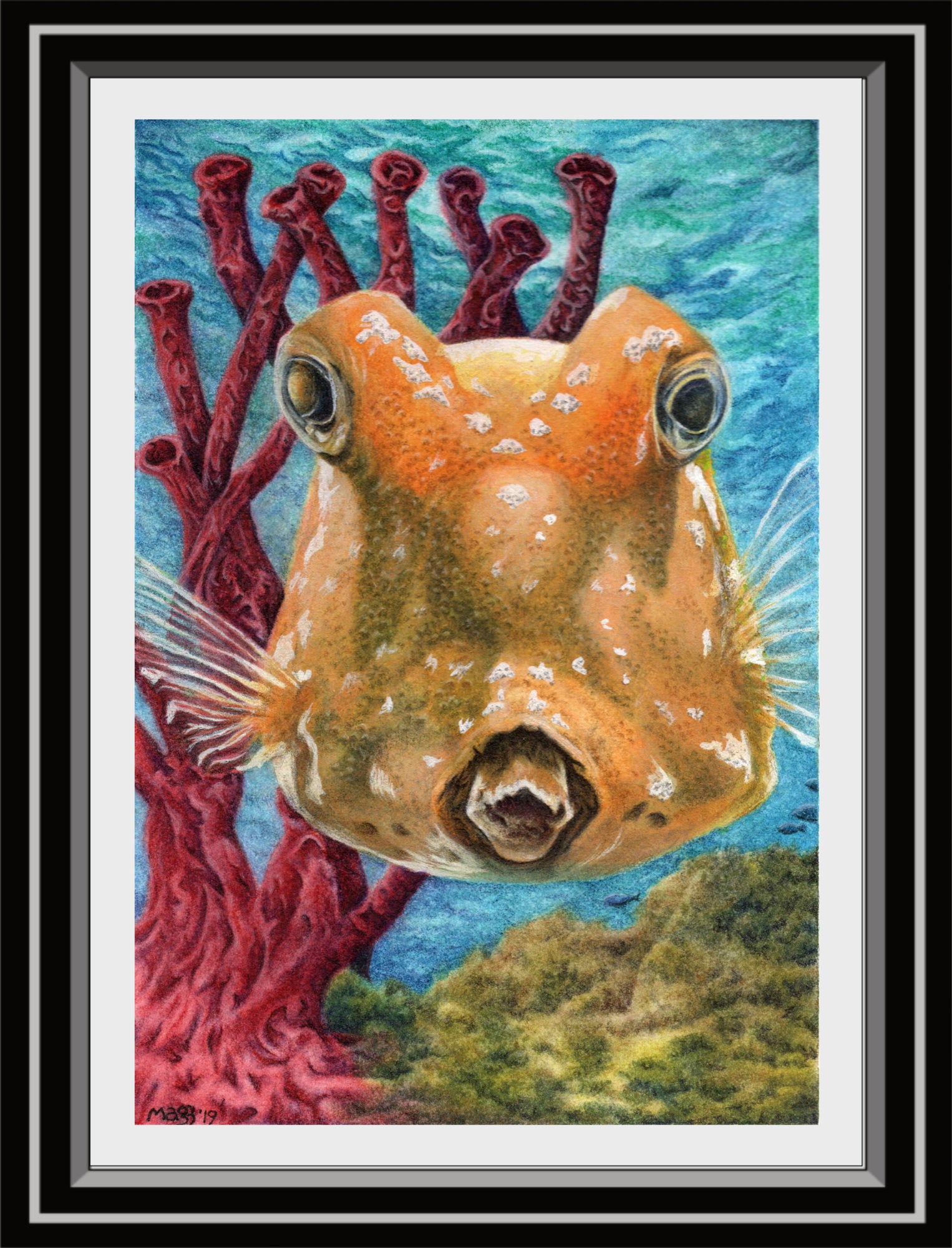 ‘Boxfish Are Cute Too!’ Print From Original Artwork