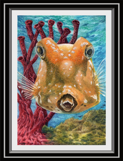 ‘Boxfish Are Cute Too!’ Print From Original Artwork