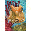‘Boxfish Are Cute Too!’ - Handmade Greeting Card With Envelope