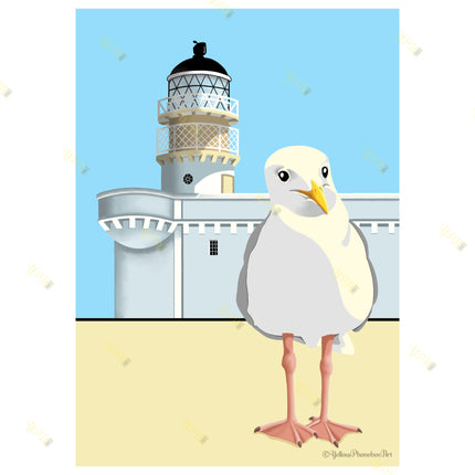 ‘Broch Gulls’ – (No Text)   Art Print From Original Artwork