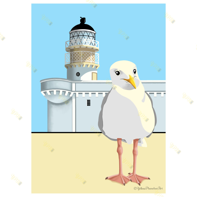 ‘Broch Gulls’ – (No Text)   Art Print From Original Artwork