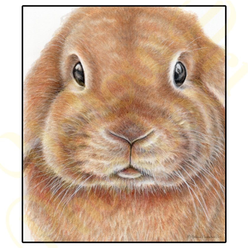 'Bunny' - Art Print from Original Artwork