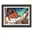 ‘Cold Paws’ - Print From Original Artwork