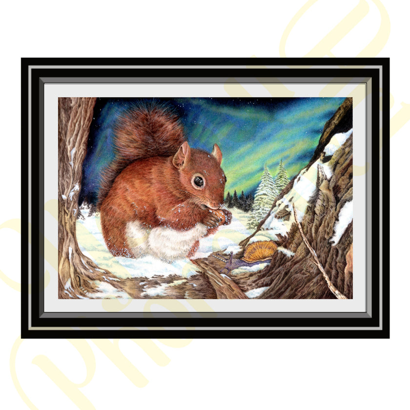 ‘Cold Paws’ - Print From Original Artwork