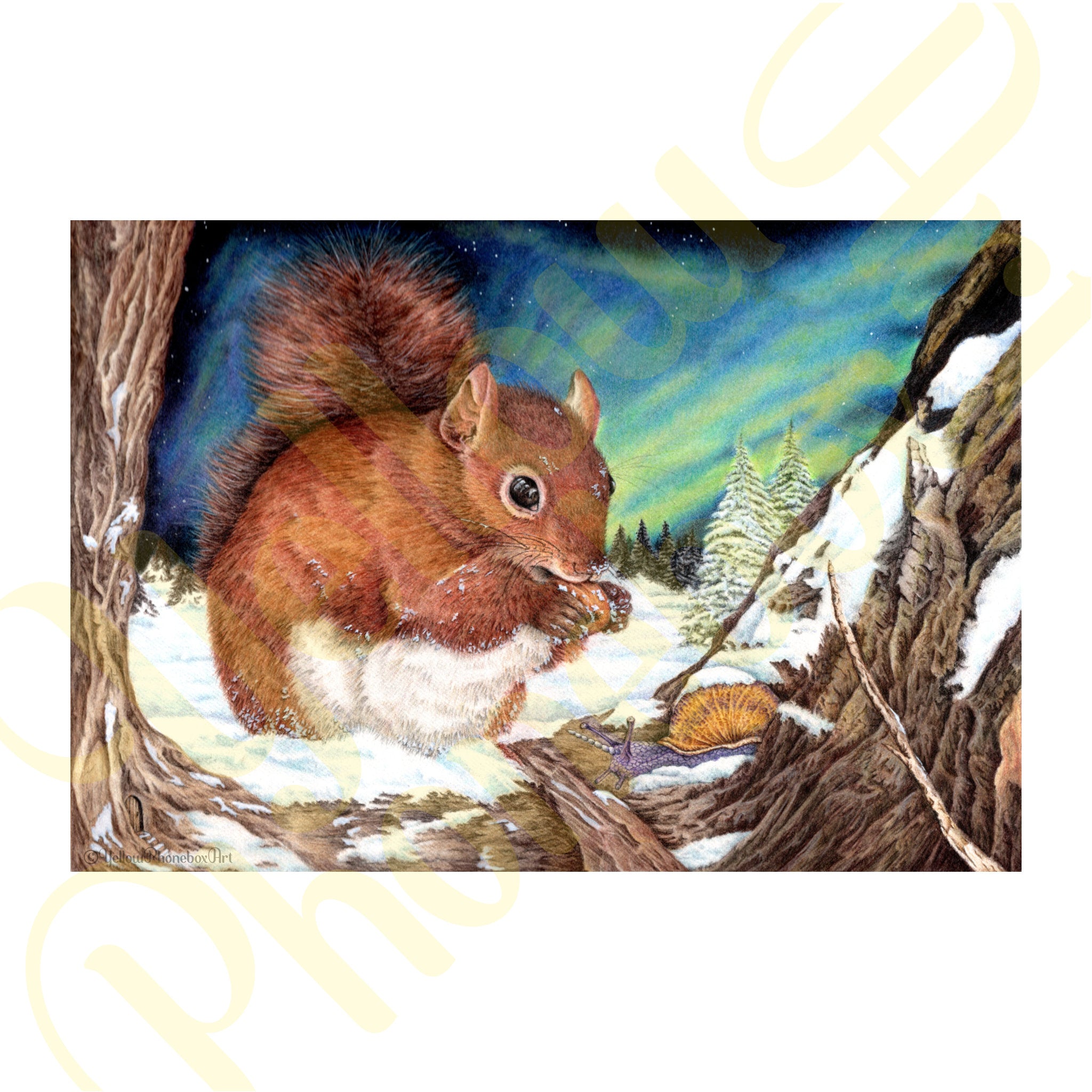 ‘Cold Paws’ - Print From Original Artwork