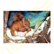 ‘Cold Paws’ - Print From Original Artwork