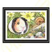 ‘Curious Guinea Pig’ - Print From Original Artwork