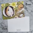 ‘Curious Guinea Pig’ - Matte Finish Postcard With Rounded Corners