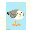 ‘Curious Seagull’ - Art Print From Original Artwork - Wall Décor