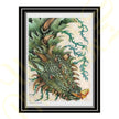 ‘Dragon Butterfly’ - Print From Original Artwork