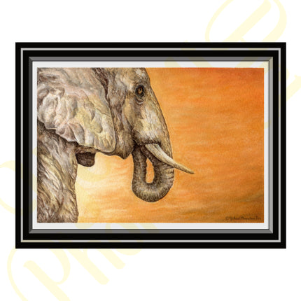 ‘Elephant Sunset’ - Print From Original Artwork