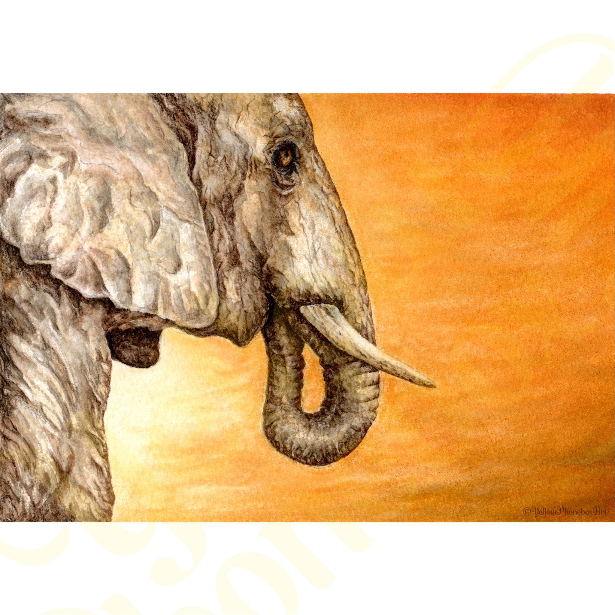 ‘Elephant Sunset’ - Print From Original Artwork