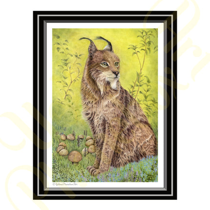 ‘Fairy Ring’ - Print From Original Artwork