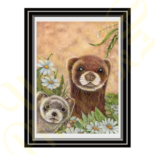 ‘Furry Ferrets’ - Print From Original Artwork