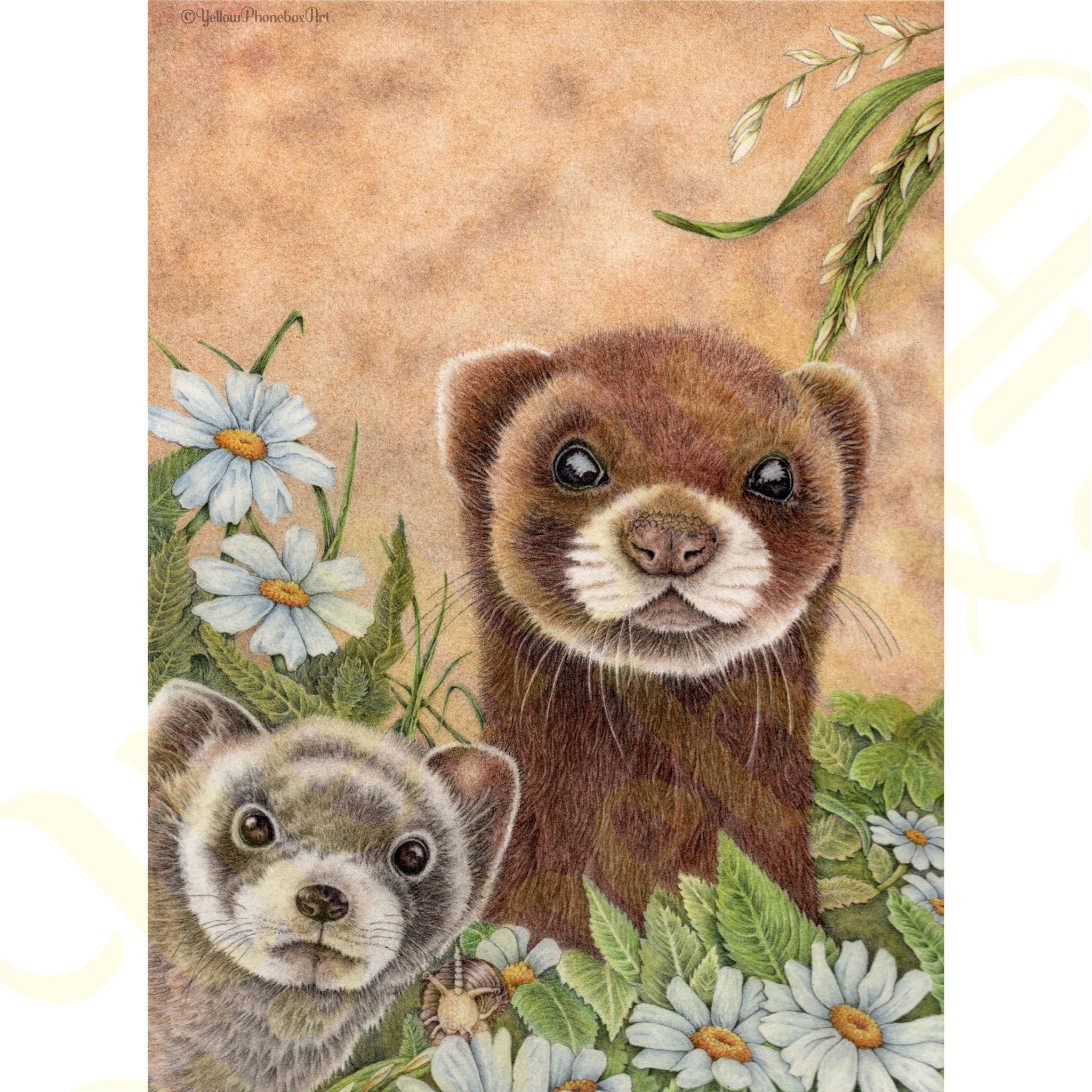 ‘Furry Ferrets’ - Handmade Greetings Card With Envelope