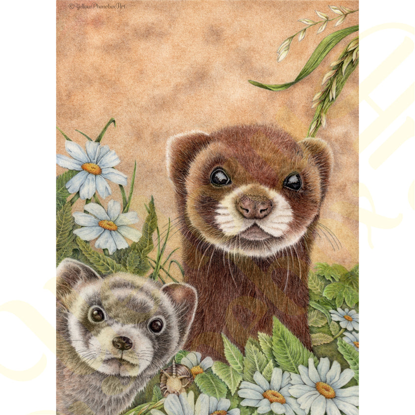 ‘Furry Ferrets’ - Handmade Greetings Card With Envelope