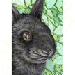 ‘I Spy With My Little Bunny Eye...’ - Handmade Greetings Card With Envelope