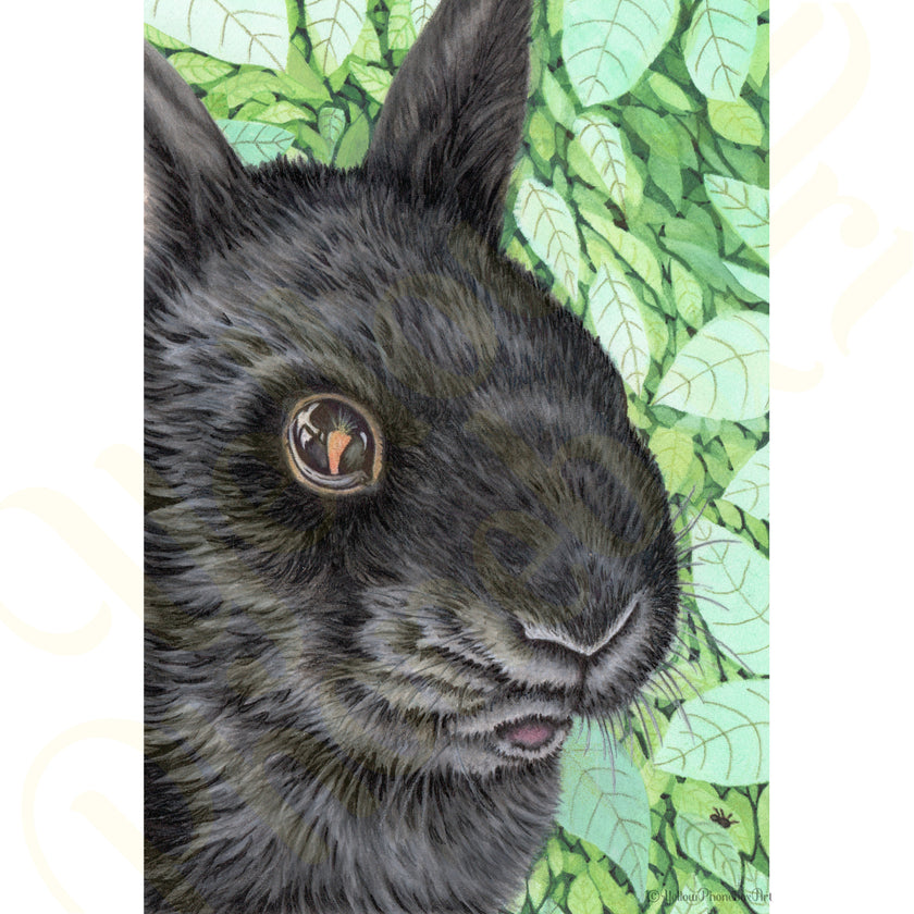 ‘I Spy With My Little Bunny Eye...’ - Handmade Greetings Card With Envelope