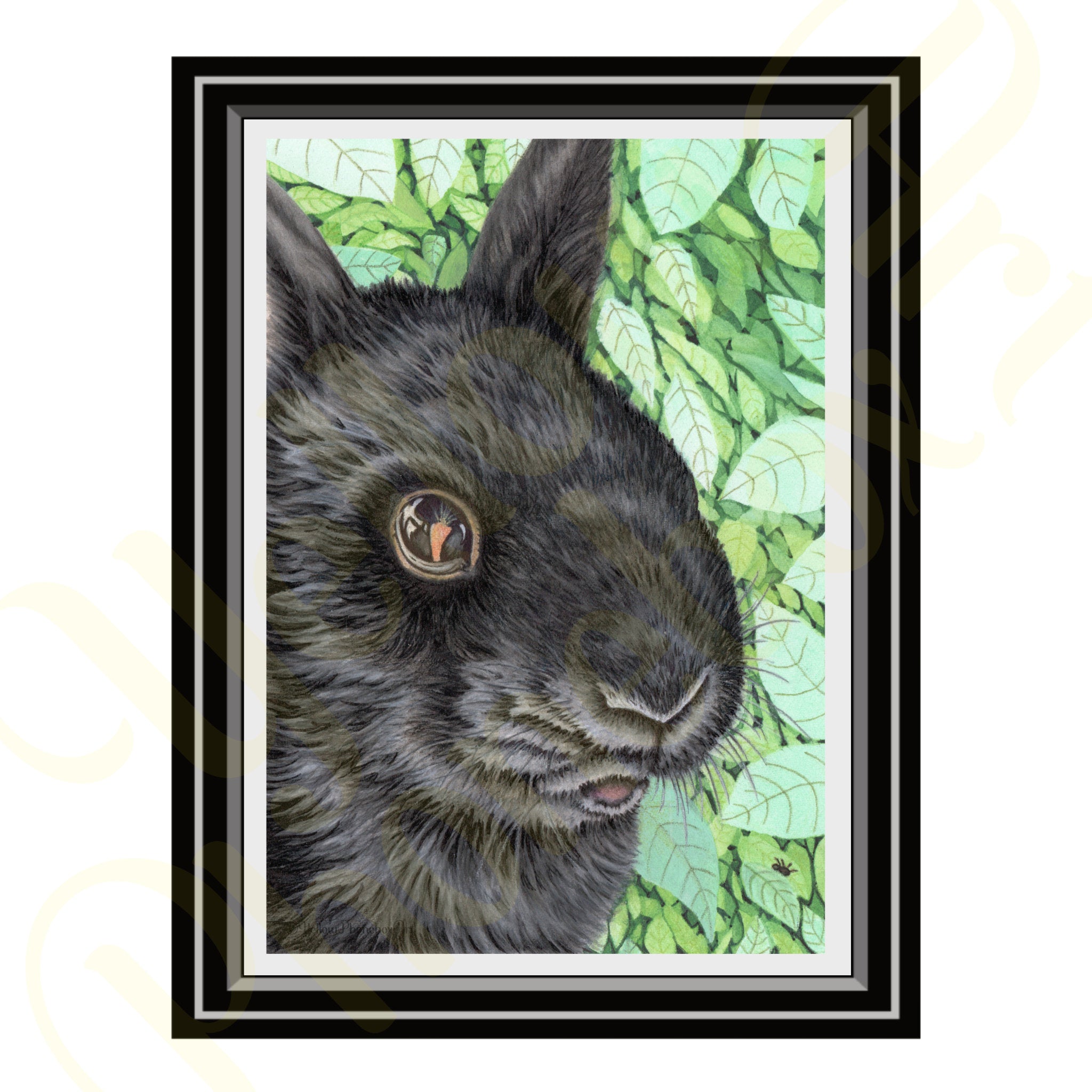‘I Spy With My Little Bunny Eye...’ - Print From Original Artwork