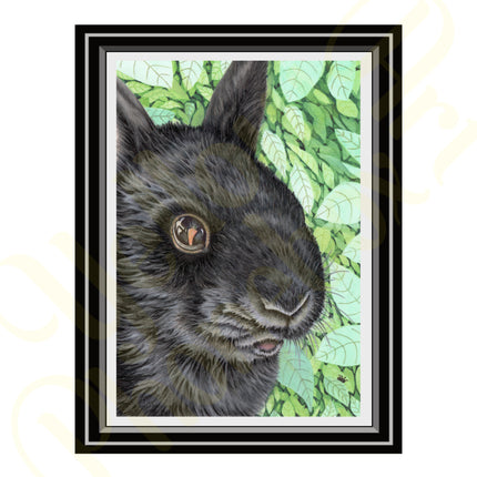 ‘I Spy With My Little Bunny Eye...’ - Print From Original Artwork