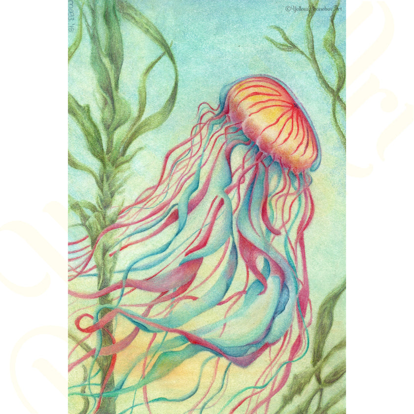 ‘Jellyfish’ - Handmade Greetings Card With Envelope