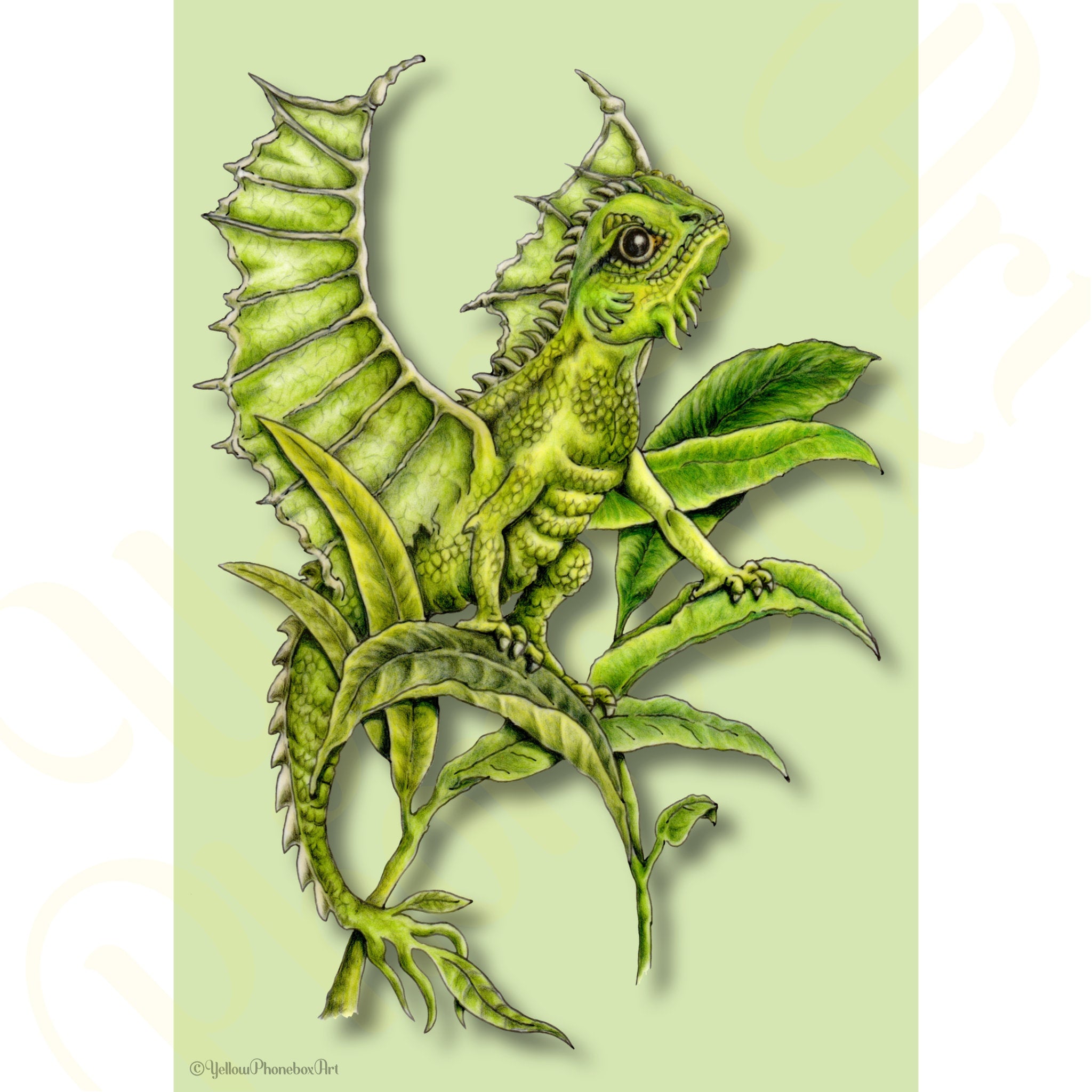 ‘Leaf Dragonlet’ - Print From Original Artwork