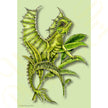 ‘Leaf Dragonlet’ - Print From Original Artwork