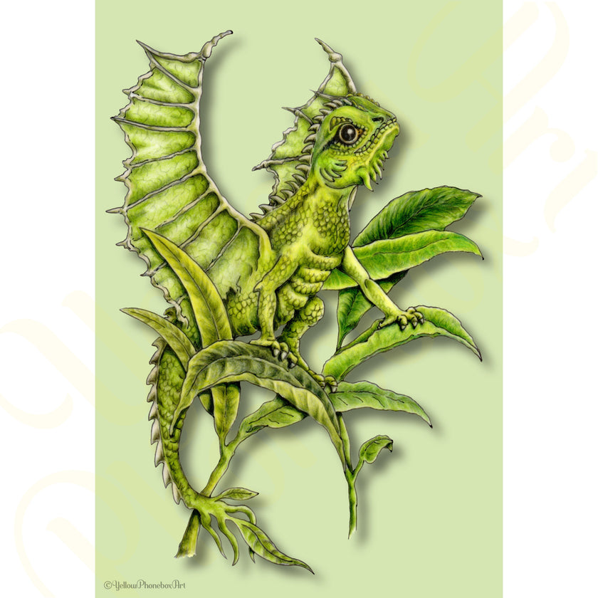 ‘Leaf Dragonlet’ - Print From Original Artwork