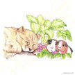 ‘Let Sleeping Kitties Lie’ - Print From Original Artwork
