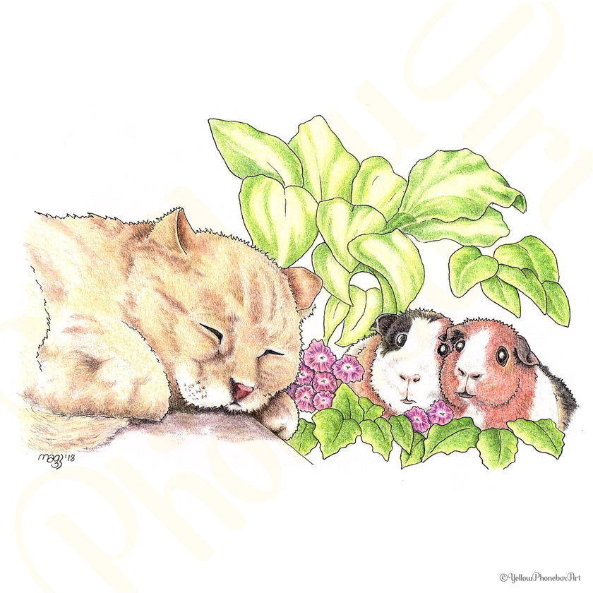 ‘Let Sleeping Kitties Lie’ - Print From Original Artwork