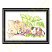 ‘Let Sleeping Kitties Lie’ - Print From Original Artwork