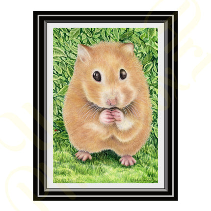 ‘Little Hamster’ - Print From Original Artwork