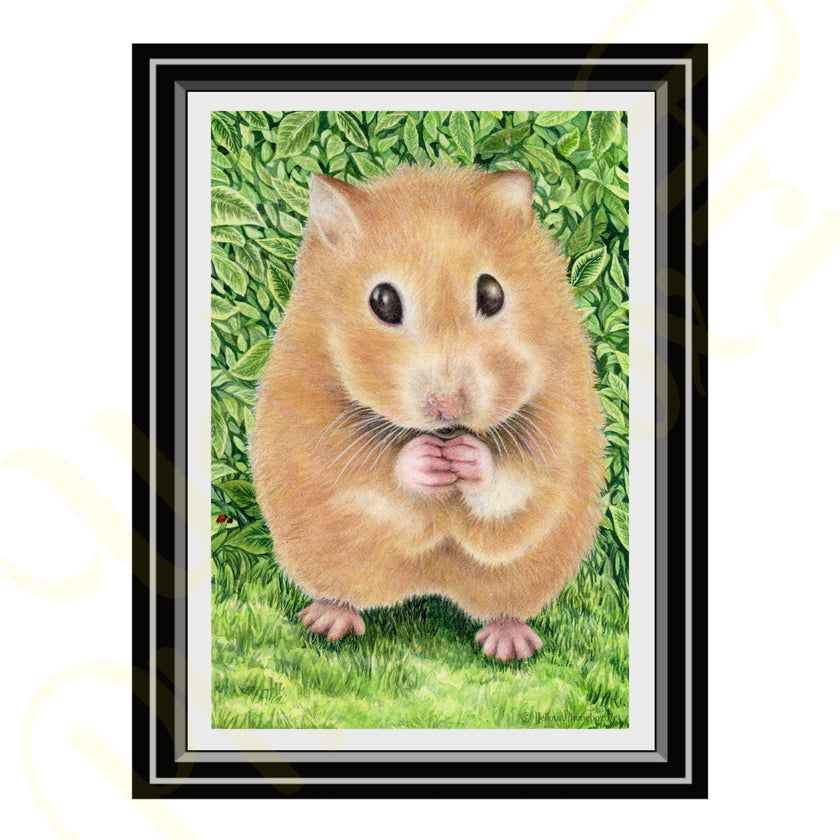 ‘Little Hamster’ - Print From Original Artwork