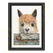 ‘Llampaca’ - Print From Original Artwork
