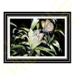 ‘Love At First Sight’ - Print From Original Artwork - Wall Décor