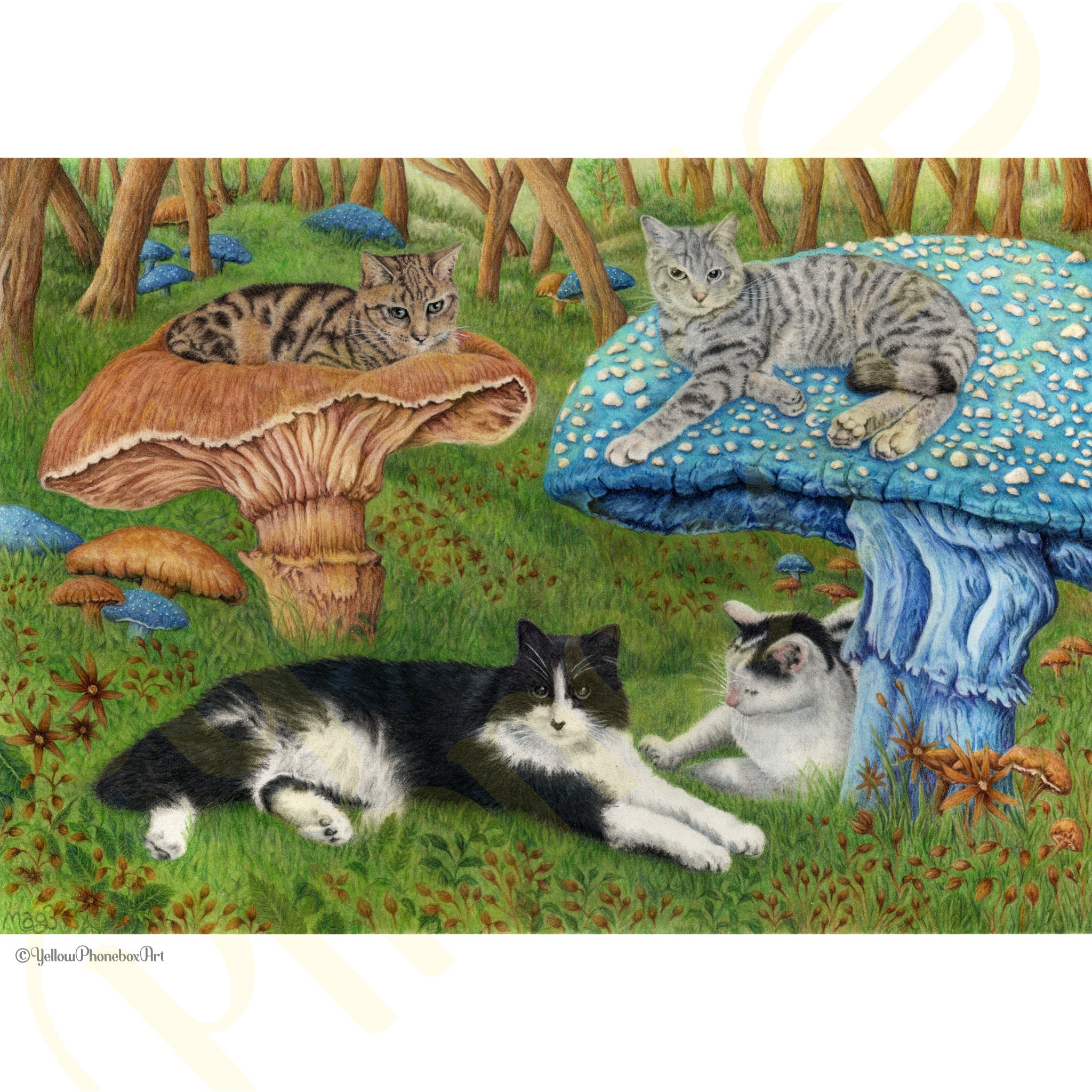 ‘Mushroom Forest’ - Handmade Greetings Card With Envelope