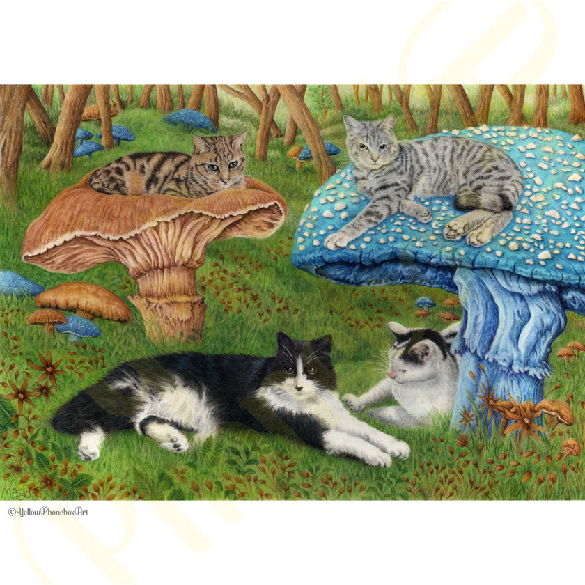 ‘Mushroom Forest’ - Handmade Greetings Card With Envelope