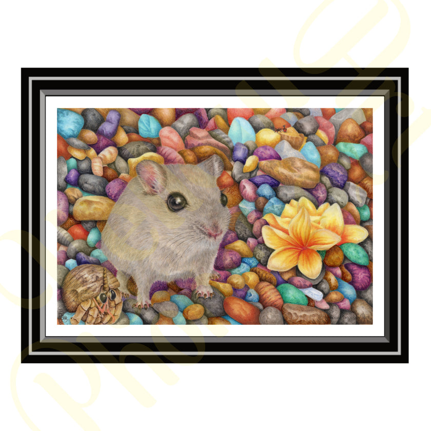 ‘Gerbil Beach’ - Print From Original Artwork