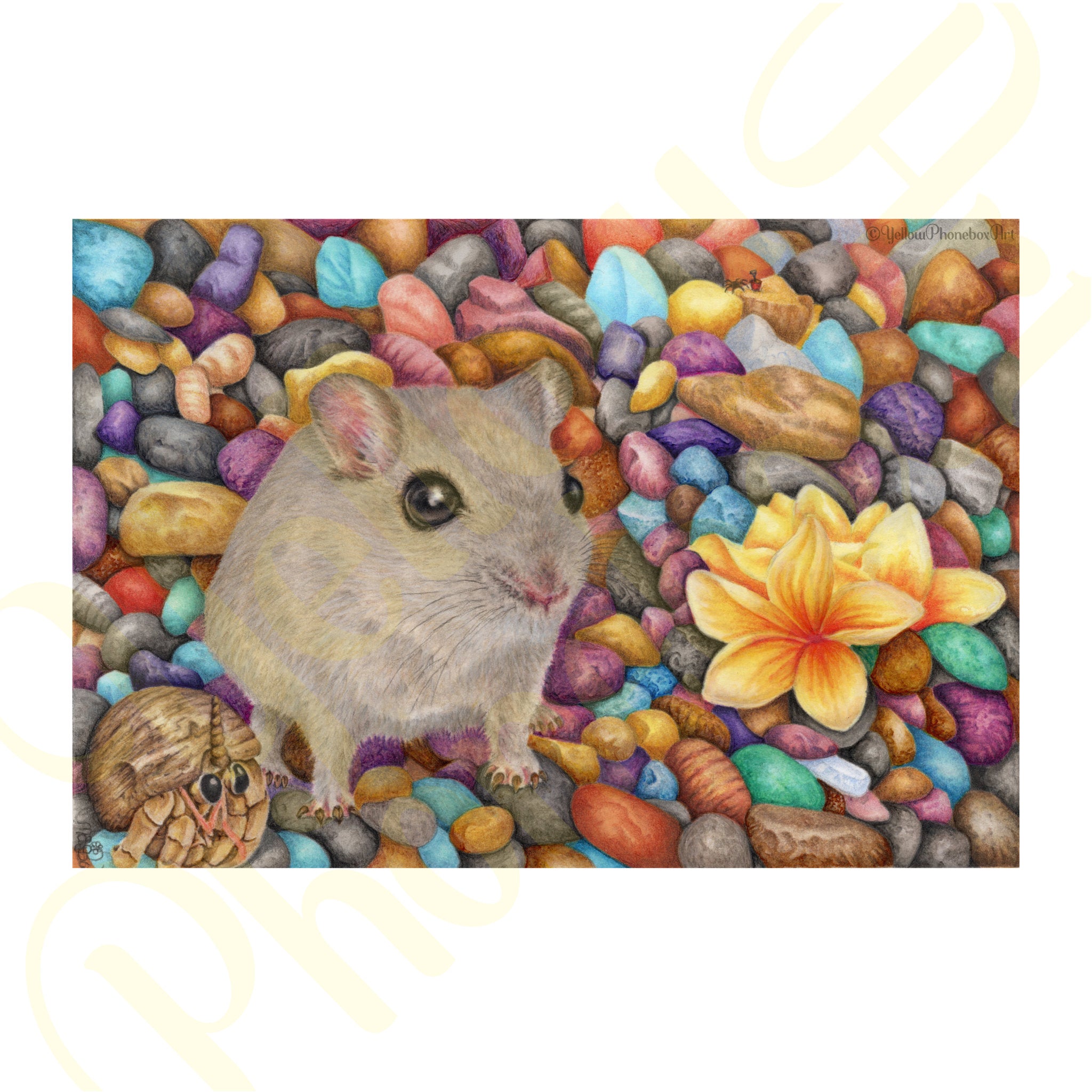 ‘Gerbil Beach’ - Print From Original Artwork