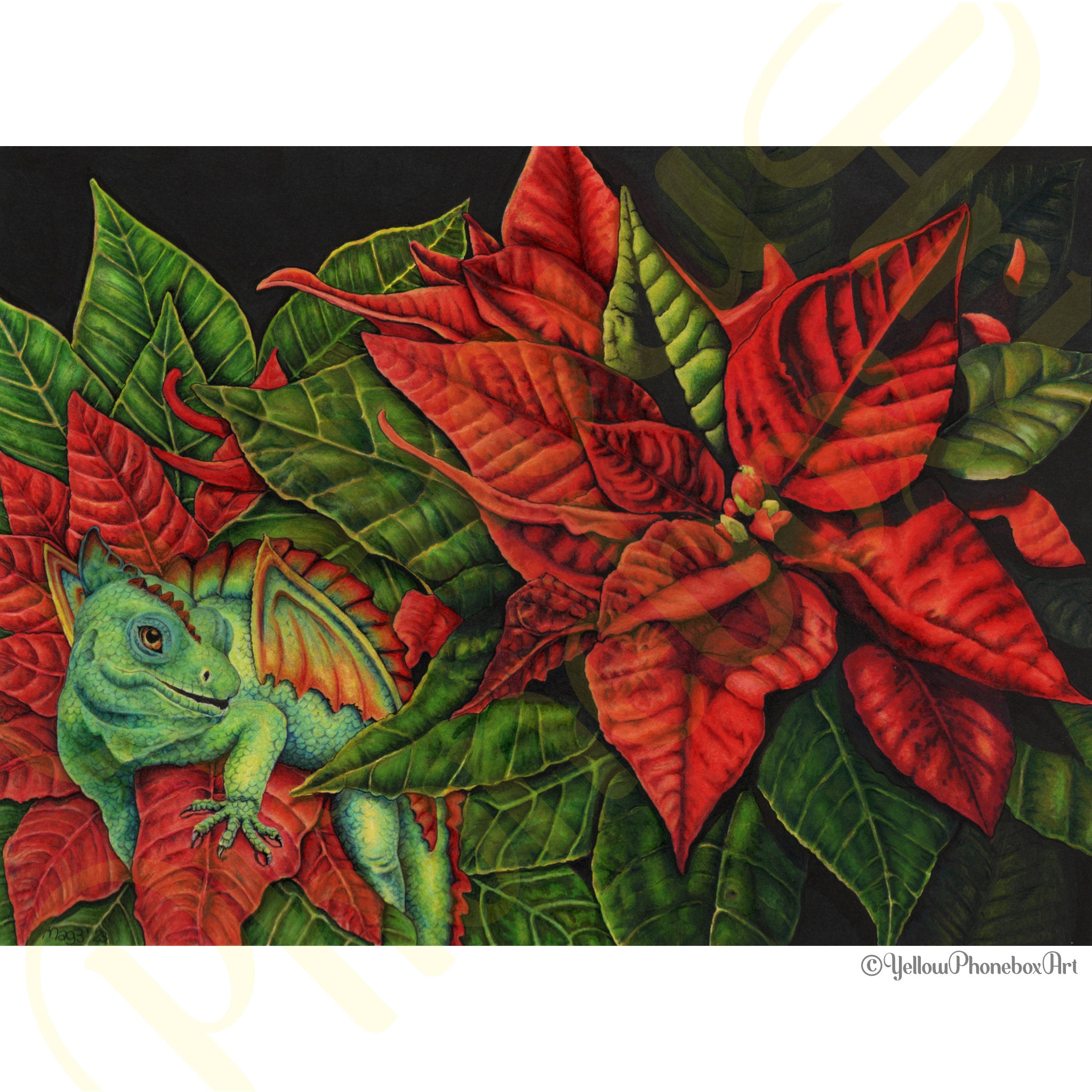 ‘Poinsettia Dragon’ - Handmade Greetings Card With Envelope