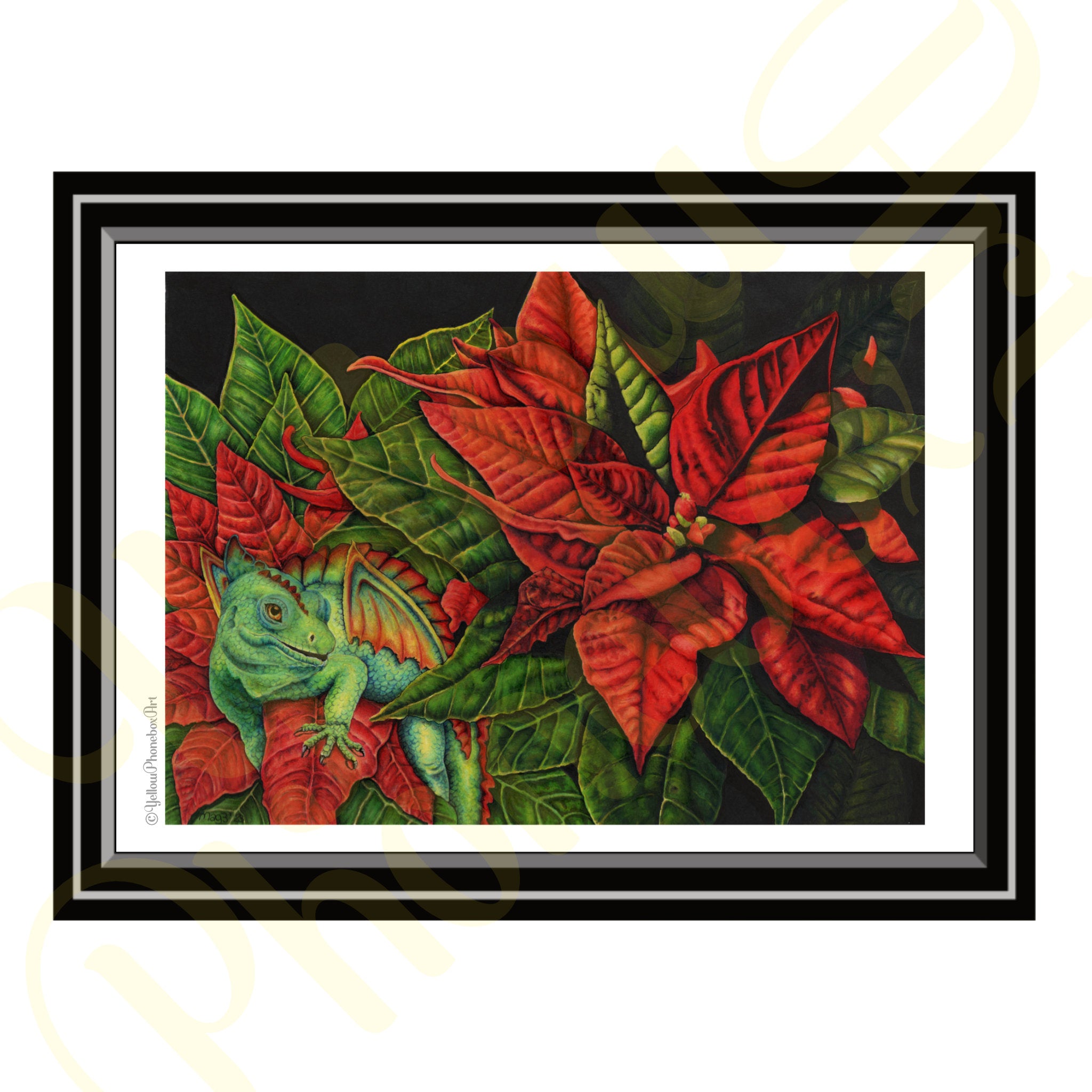 ‘Poinsettia Dragon’ - Print From Original Artwork